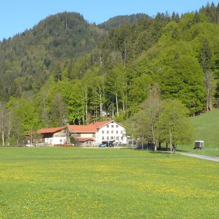 Gasthof Fallmuehle Пфронтен Экстерьер фото