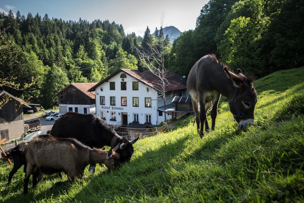 Gasthof Fallmuehle Пфронтен Экстерьер фото