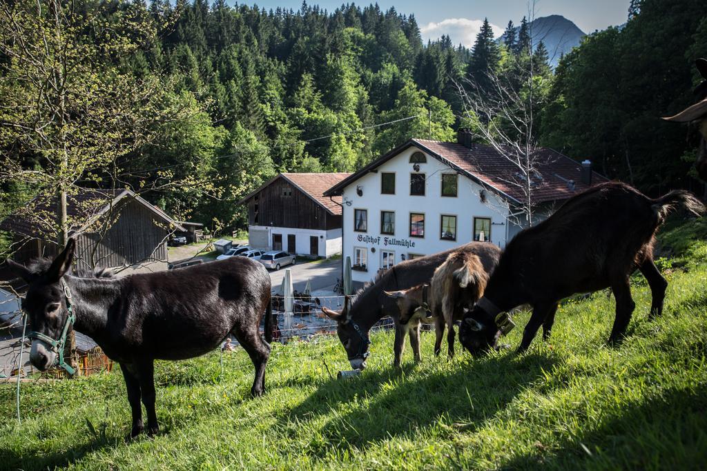 Gasthof Fallmuehle Пфронтен Экстерьер фото